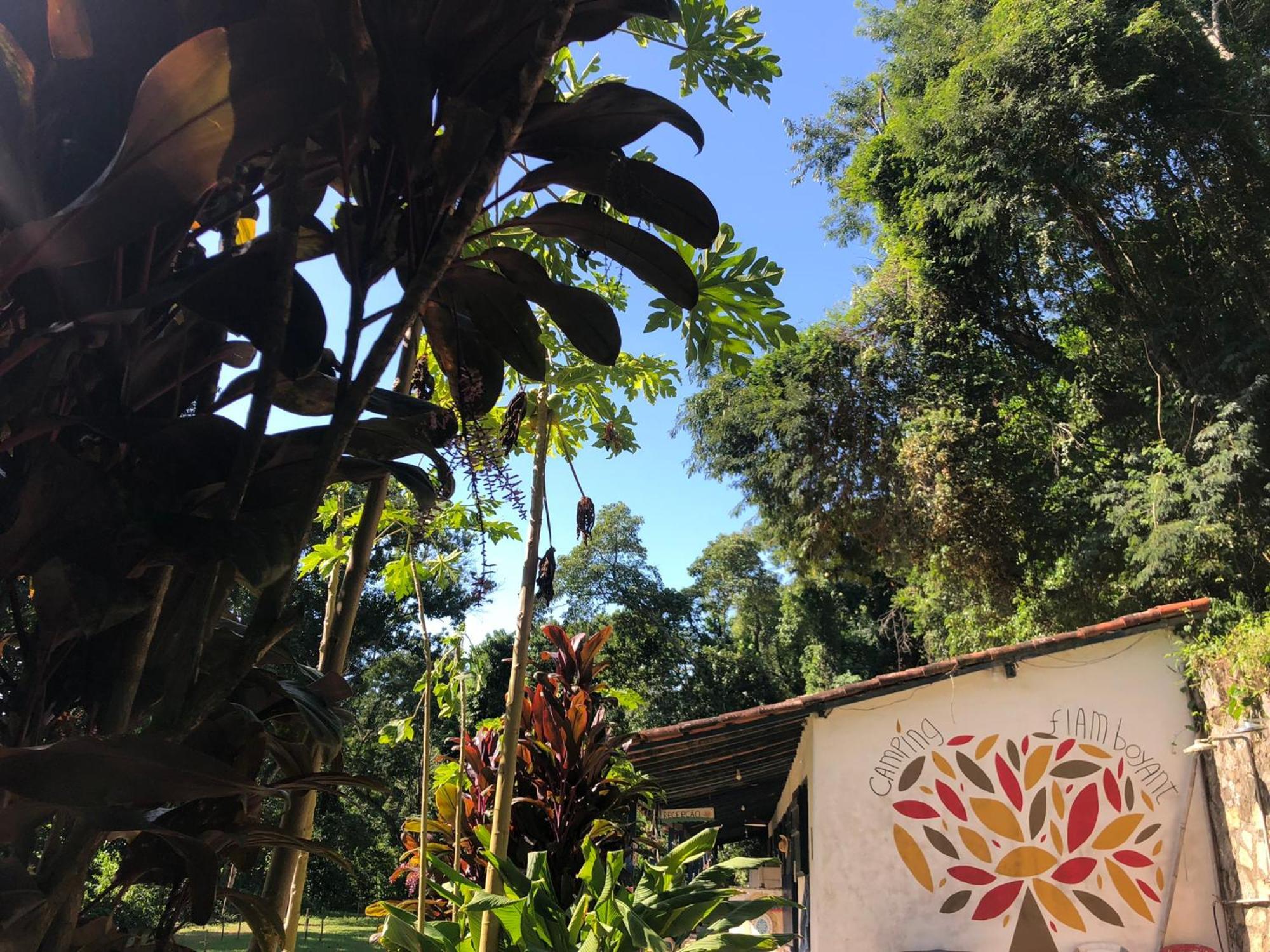 伊利亚贝拉 Camping Flamboyant酒店 外观 照片